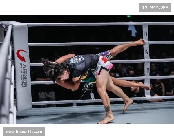 卢多维特·克莱因内战心得交流展现区域格斗文化互鉴成果丰硕展示